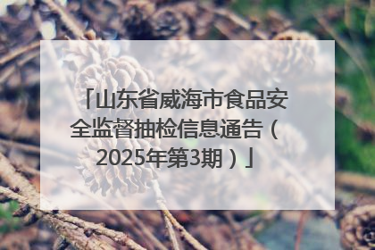 山东省威海市食品安全监督抽检信息通告（2025年第3期）
