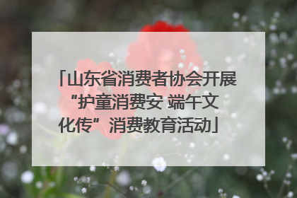山东省消费者协会开展 “护童消费安 端午文化传”消费教育活动