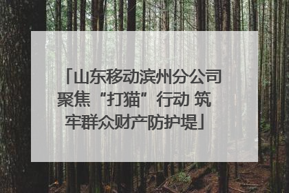 山东移动滨州分公司聚焦“打猫”行动 筑牢群众财产防护堤