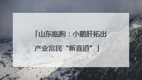 山东临朐：小鹅肝拓出产业富民“新赛道”