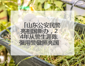 山东公安民警亮相国新办，24年从警生涯陈强用警徽照亮国际维和路