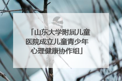 山东大学附属儿童医院成立儿童青少年心理健康协作组