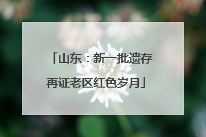 山东：新一批遗存再证老区红色岁月