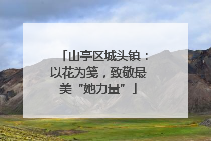 山亭区城头镇：以花为笺，致敬最美“她力量”