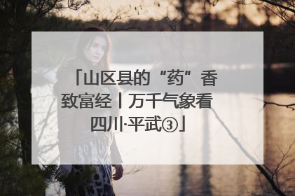 山区县的“药”香致富经丨万千气象看四川·平武③