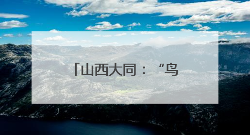 山西大同：“鸟中国宝”铁塔筑巢繁殖 电力人员守护“空中来客”