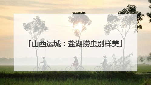 山西运城：盐湖捞虫别样美