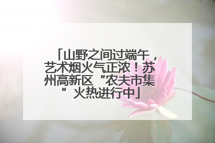 山野之间过端午，艺术烟火气正浓！苏州高新区“农夫市集”火热进行中