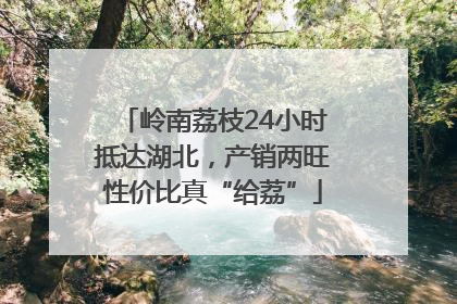 岭南荔枝24小时抵达湖北，产销两旺性价比真“给荔”