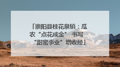 崇阳县桂花泉镇：瓜农“点花成金” 书写“甜蜜事业”增收经