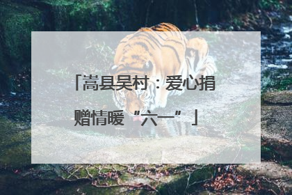 嵩县吴村：爱心捐赠情暖“六一”