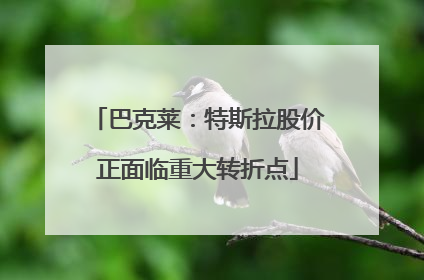 巴克莱：特斯拉股价正面临重大转折点