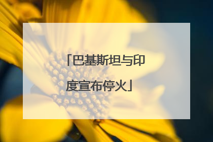 巴基斯坦与印度宣布停火