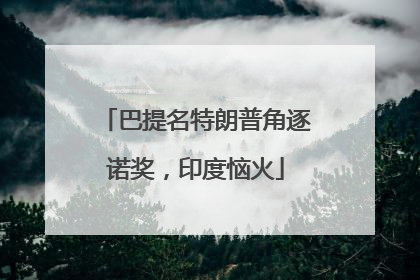 巴提名特朗普角逐诺奖，印度恼火