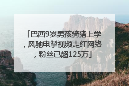 巴西9岁男孩骑猪上学，风驰电掣视频走红网络，粉丝已超125万