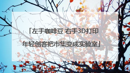 左手咖啡豆 右手3D打印 年轻创客把市集变成实验室