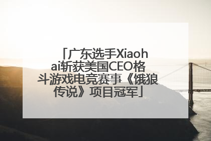 广东选手Xiaohai斩获美国CEO格斗游戏电竞赛事《饿狼传说》项目冠军