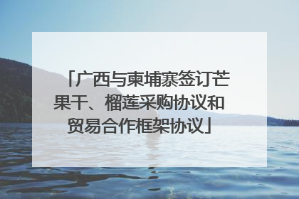 广西与柬埔寨签订芒果干、榴莲采购协议和贸易合作框架协议
