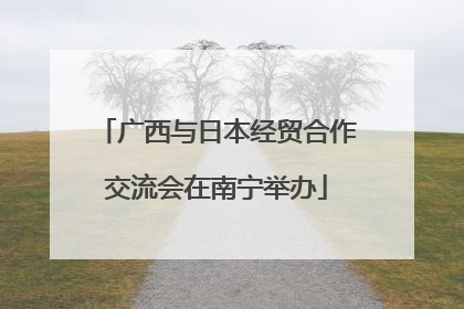 广西与日本经贸合作交流会在南宁举办