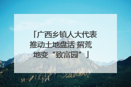 广西乡镇人大代表推动土地盘活 撂荒地变“致富园”
