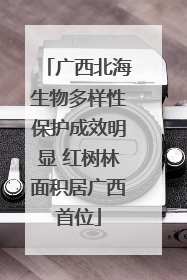 广西北海生物多样性保护成效明显 红树林面积居广西首位