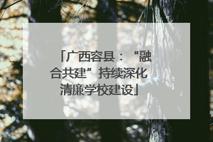 广西容县：“融合共建”持续深化清廉学校建设