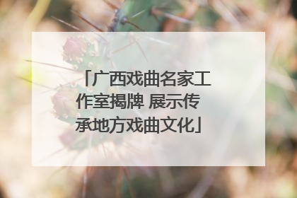 广西戏曲名家工作室揭牌 展示传承地方戏曲文化