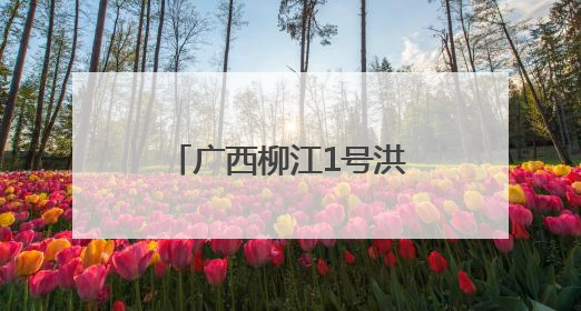广西柳江1号洪峰过境柳州 辖区船舶已全部停航