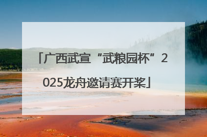 广西武宣“武粮园杯”2025龙舟邀请赛开桨