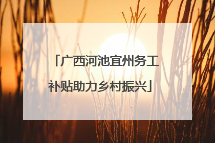广西河池宜州务工补贴助力乡村振兴