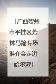广西贺州市平桂区芳林马蹄专场推介会走进哈尔滨