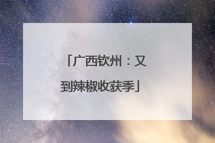 广西钦州：又到辣椒收获季