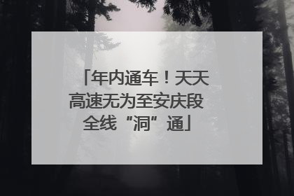 年内通车！天天高速无为至安庆段全线“洞”通