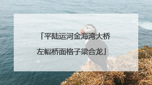 平陆运河金海湾大桥左幅桥面格子梁合龙