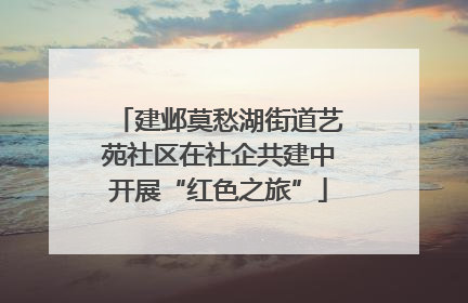 建邺莫愁湖街道艺苑社区在社企共建中开展“红色之旅”