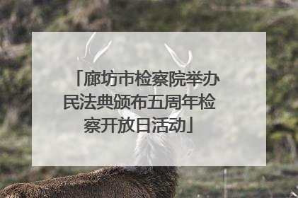 廊坊市检察院举办民法典颁布五周年检察开放日活动