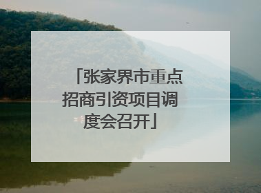 张家界市重点招商引资项目调度会召开