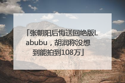 张朝阳后悔送回绝版Labubu，胡润称没想到能拍到108万