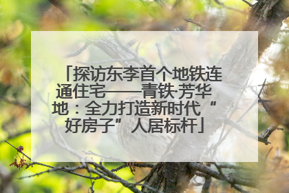 探访东李首个地铁连通住宅——青铁·芳华地：全力打造新时代“好房子”人居标杆