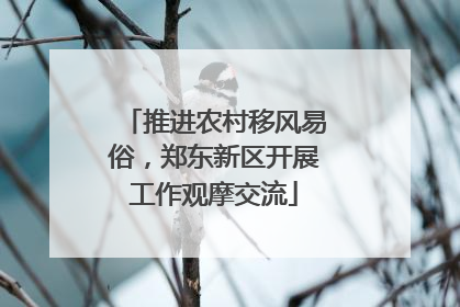 推进农村移风易俗，郑东新区开展工作观摩交流