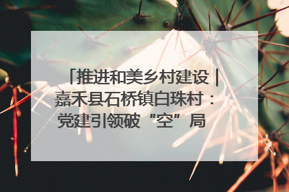 推进和美乡村建设｜嘉禾县石桥镇白珠村：党建引领破“空”局 乡贤聚力绘就新图景
