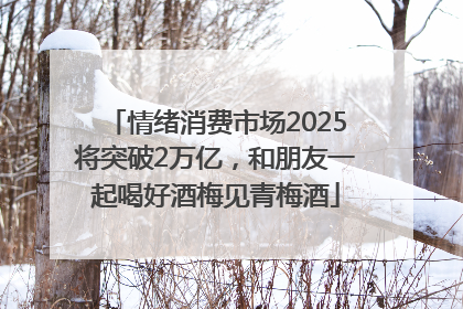 情绪消费市场2025将突破2万亿，和朋友一起喝好酒梅见青梅酒
