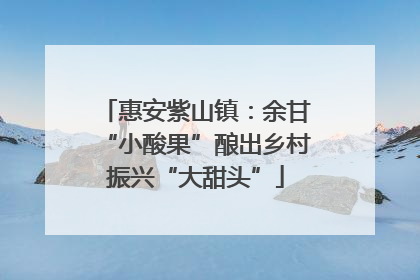 惠安紫山镇：余甘“小酸果”酿出乡村振兴“大甜头”