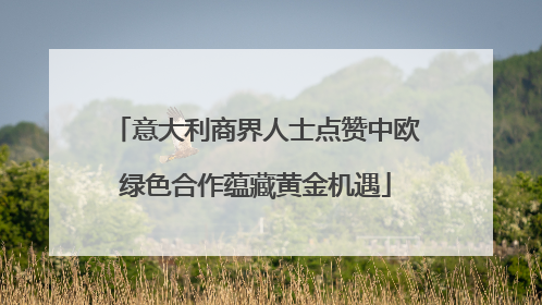 意大利商界人士点赞中欧绿色合作蕴藏黄金机遇