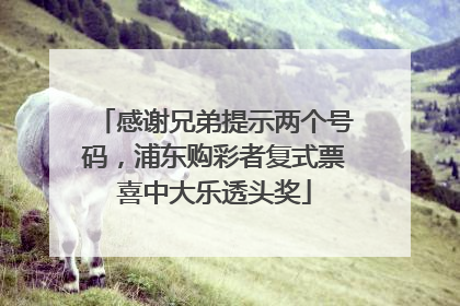 感谢兄弟提示两个号码，浦东购彩者复式票喜中大乐透头奖