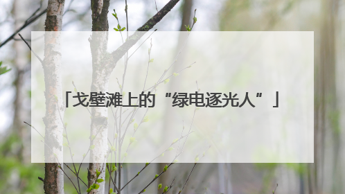 戈壁滩上的“绿电逐光人”