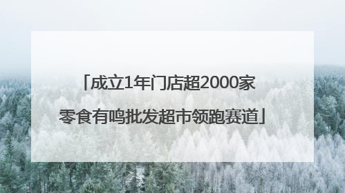 成立1年门店超2000家 零食有鸣批发超市领跑赛道