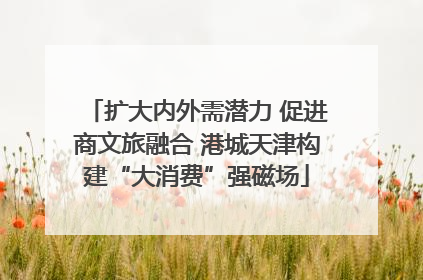 扩大内外需潜力 促进商文旅融合 港城天津构建“大消费”强磁场