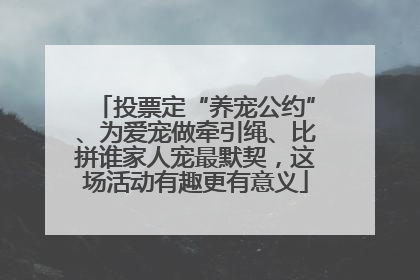 投票定“养宠公约”、为爱宠做牵引绳、比拼谁家人宠最默契，这场活动有趣更有意义