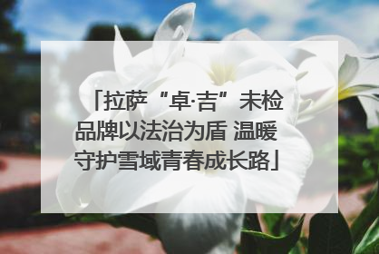 拉萨“卓·吉”未检品牌以法治为盾 温暖守护雪域青春成长路